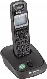 Panasonic KX-TG2511 Titanium Black